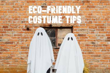 Sustainable Halloween Tips:  Eco-Friendly Costume Ideas