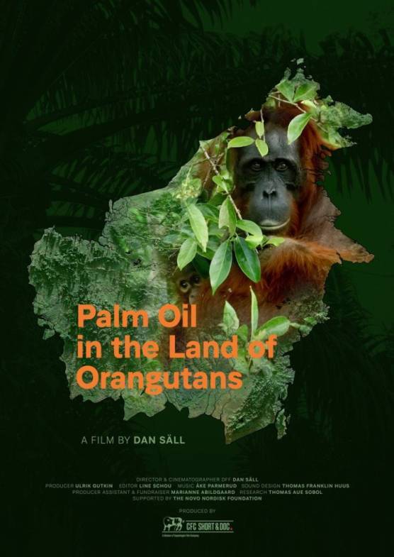 Póster de la película Aceite de palma en la tierra de los orangutanes