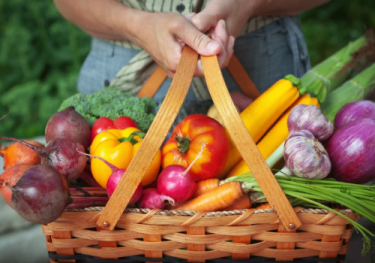 Nothing wasted: celebrating summer’s abundance