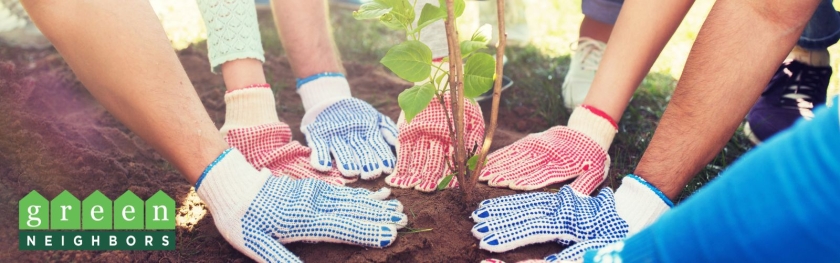 header photo with many hands in garden gloves planting a single tree