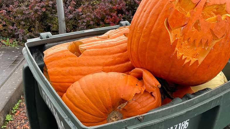 jack-o-lanterns in compost bin