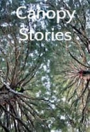 Canopy Stories